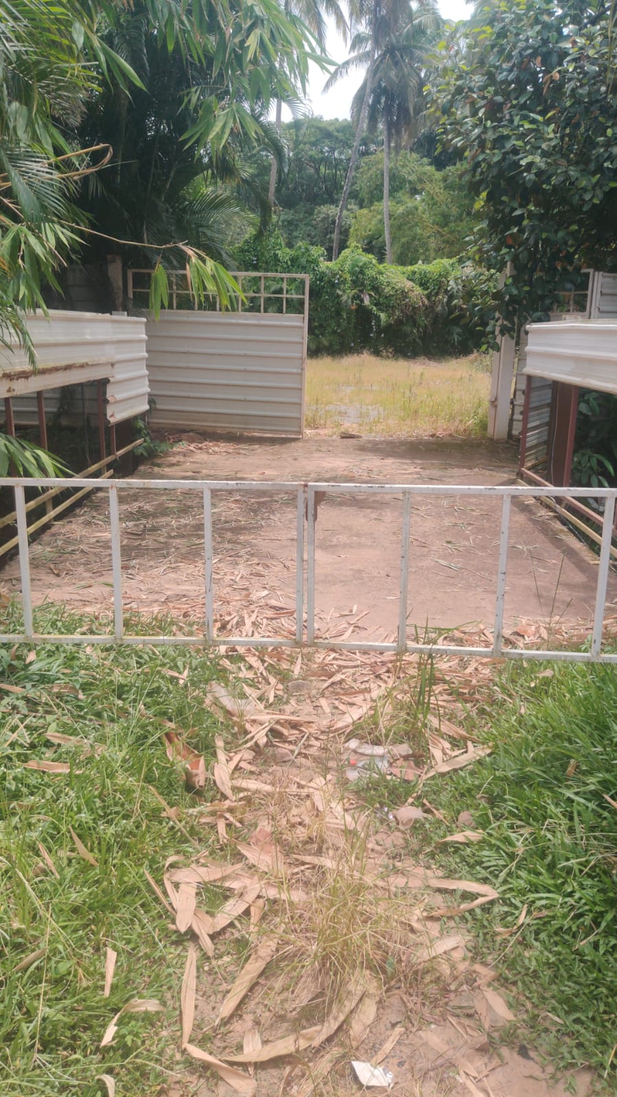 65 cents land for rent in pumpwell mangalore for warehouses and residential 