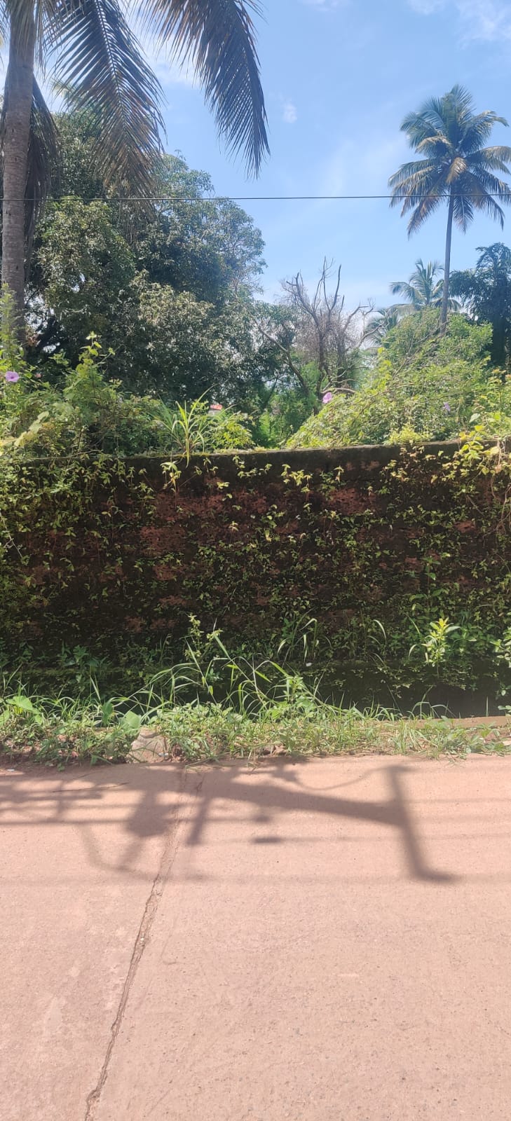 🌴 RESIDENTIAL LAND FOR SALE – SURATHKAL, MANGALORE
