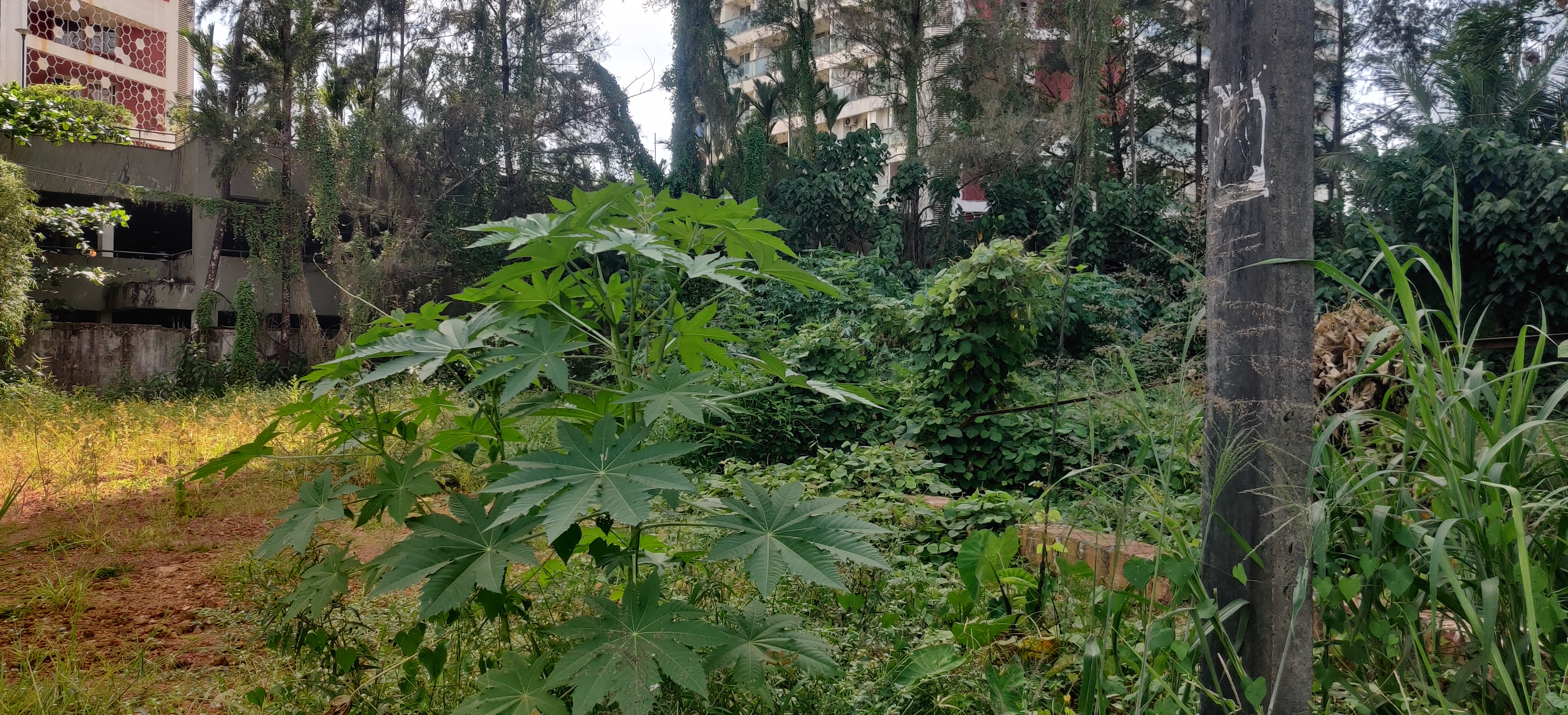 10 cents land for sale in Pumpwell behind northernsky city mangalore 